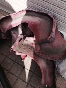 FullSizeRender-1
