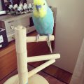 GWゴールデンウィーク 休日 GWゴールデンウィーク 休日